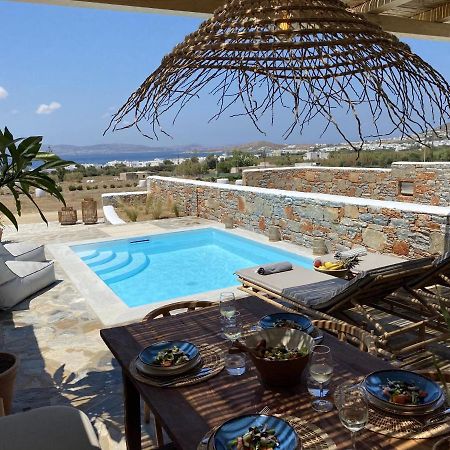 Villa Ypsilon Naxos - Luxury Holiday House With Amazing Sea View & Private Pool Agia Anna  Екстериор снимка