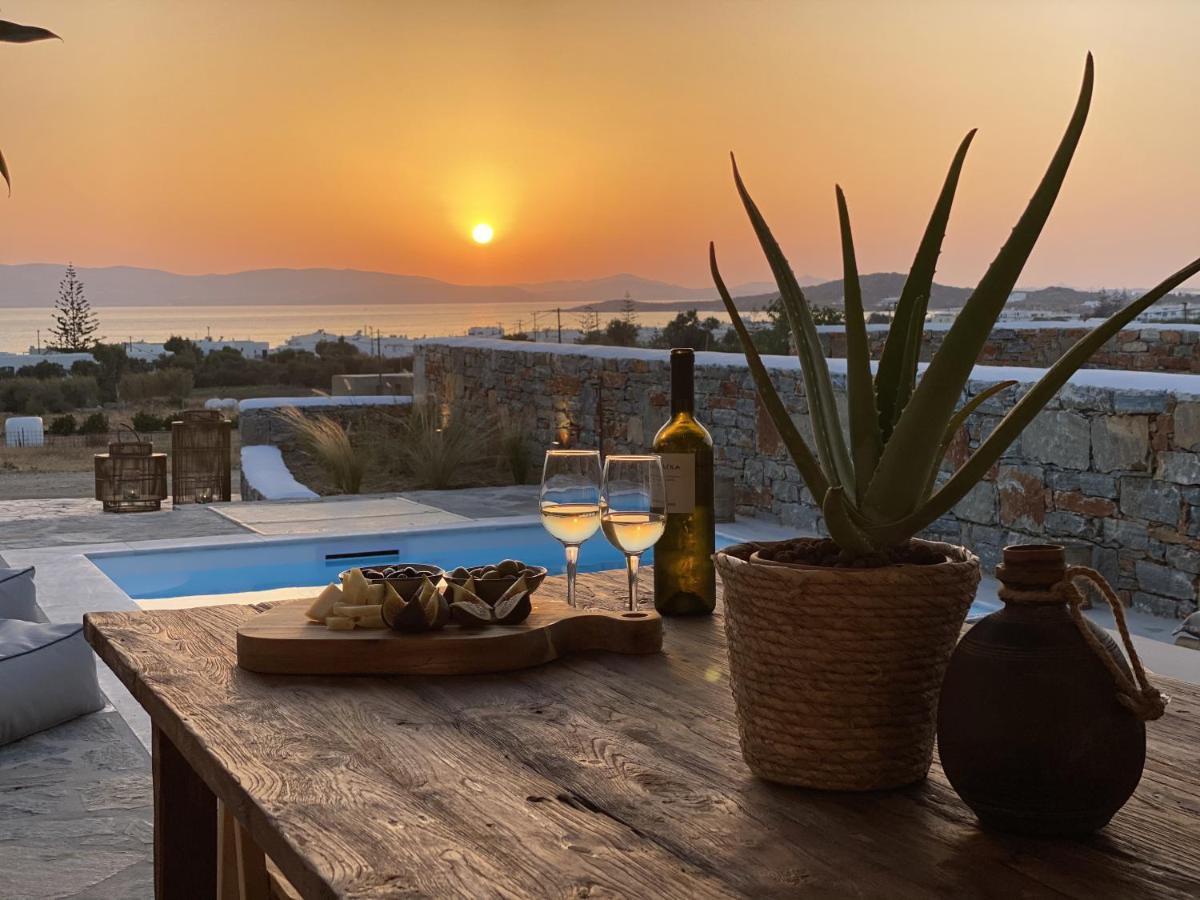Villa Ypsilon Naxos - Luxury Holiday House With Amazing Sea View & Private Pool Agia Anna  Екстериор снимка