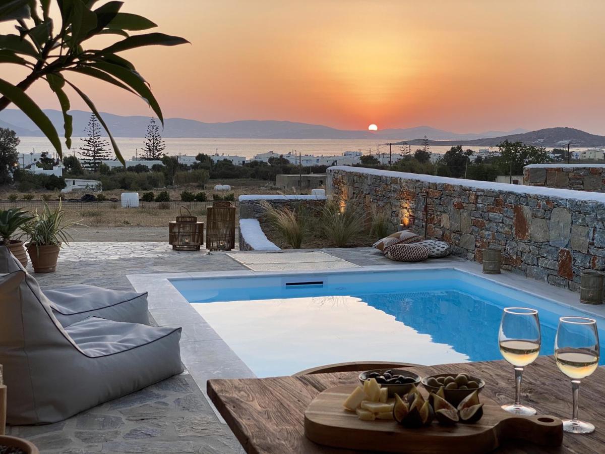 Villa Ypsilon Naxos - Luxury Holiday House With Amazing Sea View & Private Pool Agia Anna  Екстериор снимка