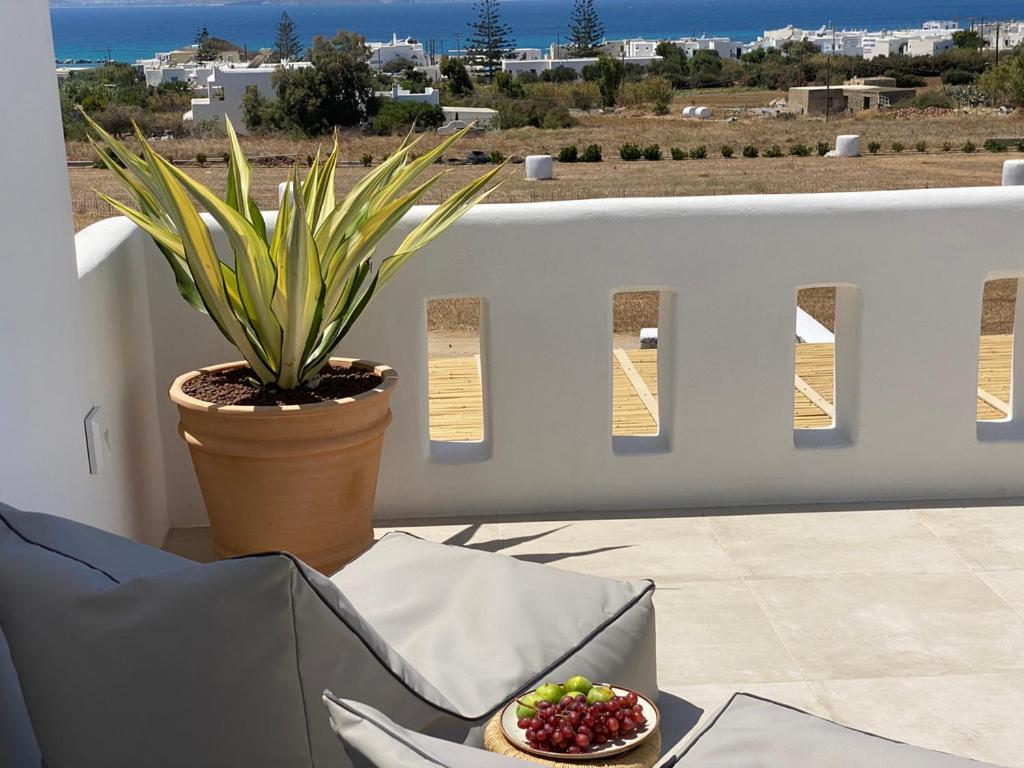 Villa Ypsilon Naxos - Luxury Holiday House With Amazing Sea View & Private Pool Agia Anna  Екстериор снимка