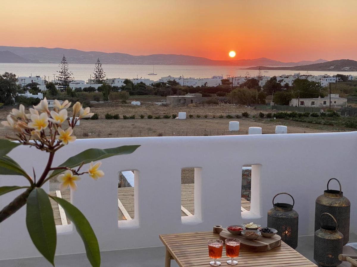 Villa Ypsilon Naxos - Luxury Holiday House With Amazing Sea View & Private Pool Agia Anna  Екстериор снимка